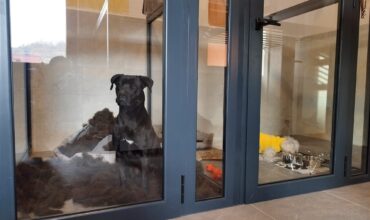 Imagine WhatsApp 2023-12-09 la 22.21.17_a1b107d8