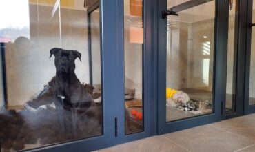 Imagine WhatsApp 2023-12-09 la 22.23.14_a76148ed