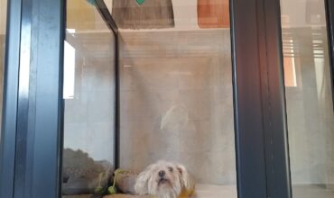 Imagine WhatsApp 2023-12-09 la 22.25.46_1422e869