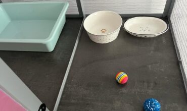 Imagine WhatsApp 2023-12-17 la 17.54.52_b5653a9b