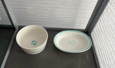 Imagine WhatsApp 2023-12-17 la 17.55.03_6ce71149